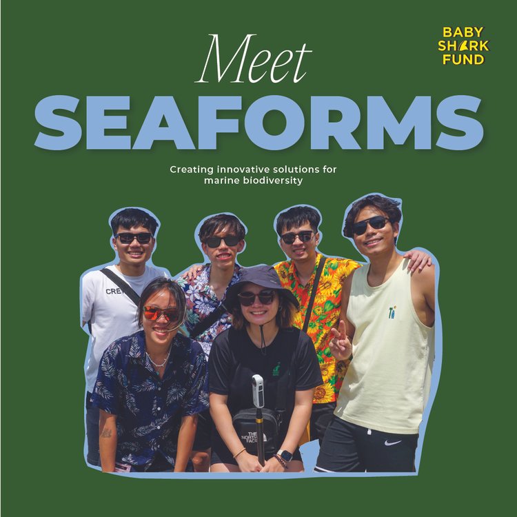 BSF Little Fins Big Ideas SEAFORMS